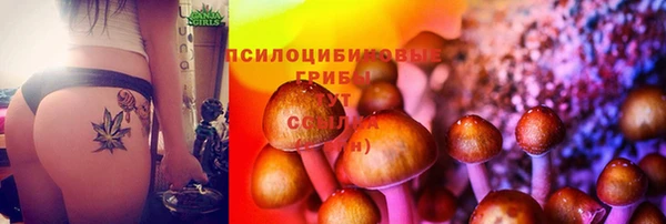 тгк Балахна