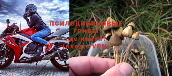 mix Белокуриха
